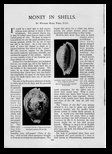 Windsor magazine 1902 Rare shells